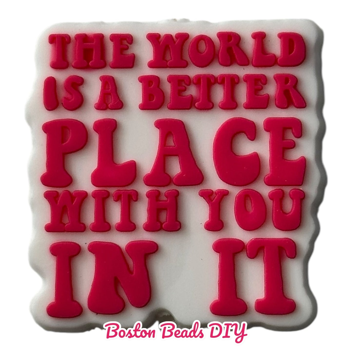 The world is a better place with you in it Focal Beads (Sold per set of 5)