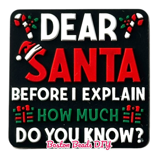 Christmas Dear Santa Before I Explain Focal Beads (Sold per set of 5)